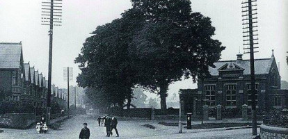 101-99-Old-Photo-elm-trees.jpg